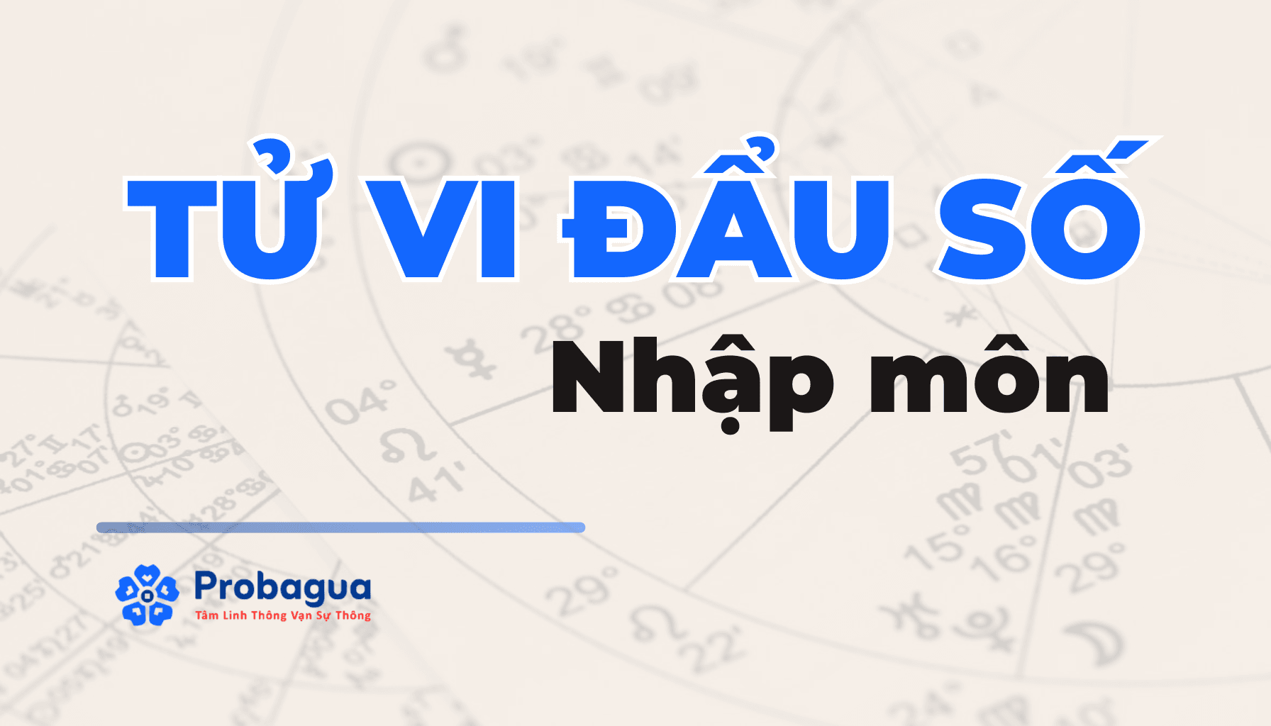 Hướng Dẫn Tử Vi Nhập Môn